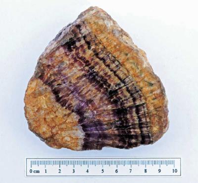 Blue John,(Fluorite). Treak Cliff cavern, Bill Bagley Rocks and Minerals